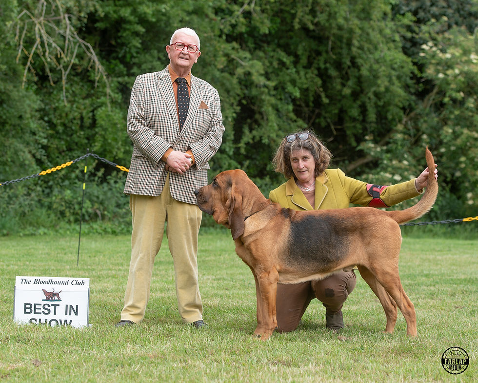 Best In Show