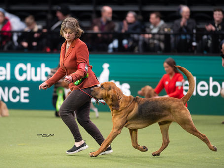 CRUFTS (Part 2)