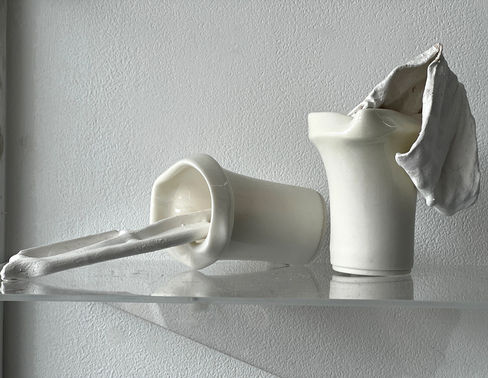 Mothers Milk_Sample install view_1.4