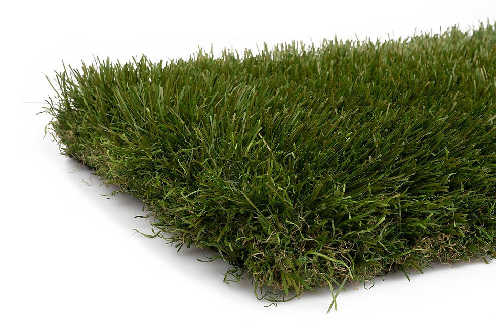 Thumbnail: EasyLawn Peak60