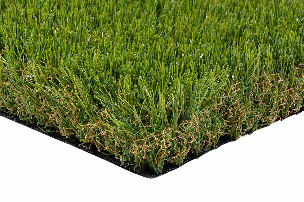 Thumbnail: Easylawn Recycle50