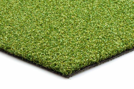 Thumbnail: EasyLawn SG13 - Hockeygras - Puttinggreen