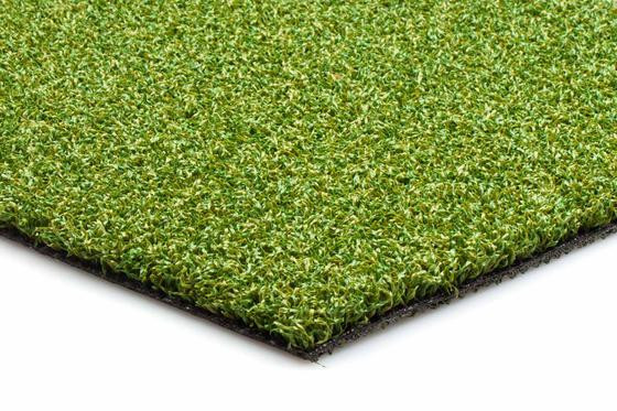 Thumbnail: EasyLawn SG13 - Hockeygras - Puttinggreen