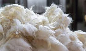 Benefits of New Zealand Wool 