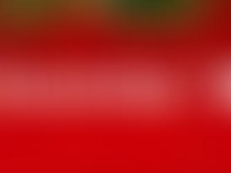 December 10 - Traditional Indulgence of the day!