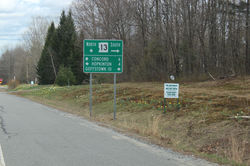 daffodills 2014 006.JPG