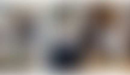 Mon nouveau SC3 Premium : le dernier Kärcher blanc