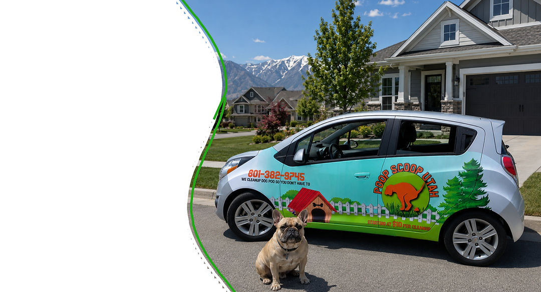 Poop Scoop Utah Layton City page for pet waste removal
