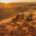 Untitled design (3).png