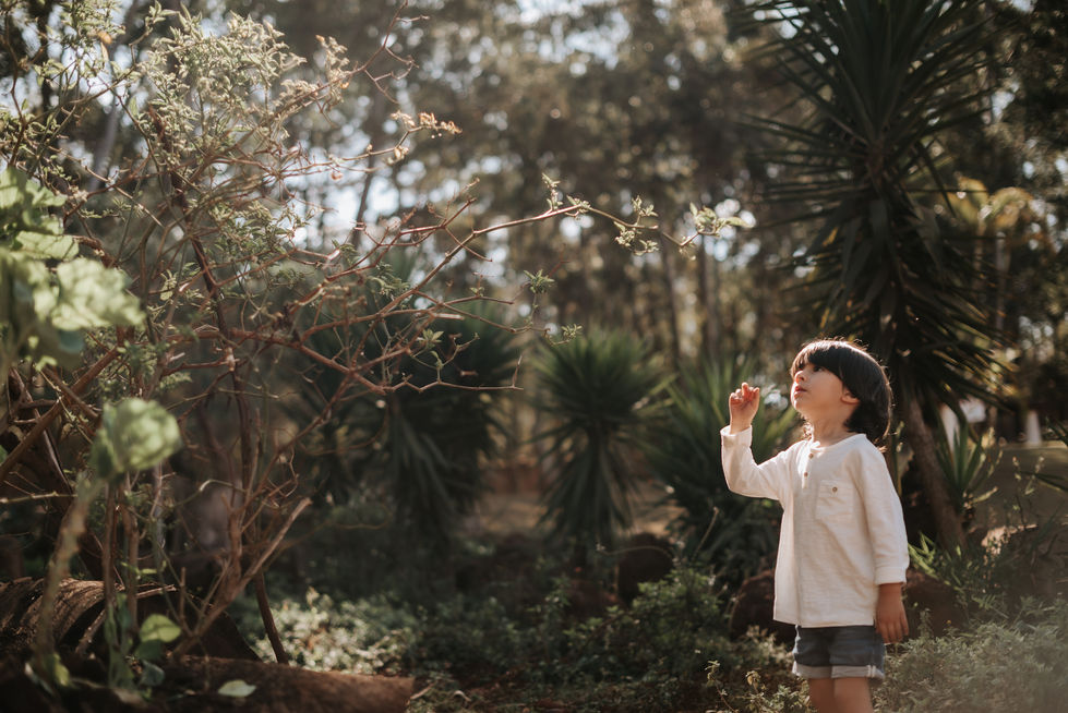 Aniversário Pedro 3 anos-113.JPG