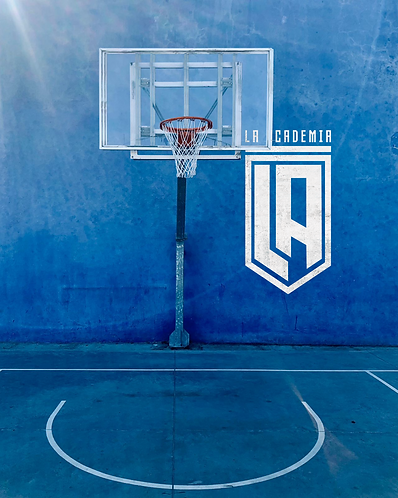 Basuquetball para niños y niñas (3).png