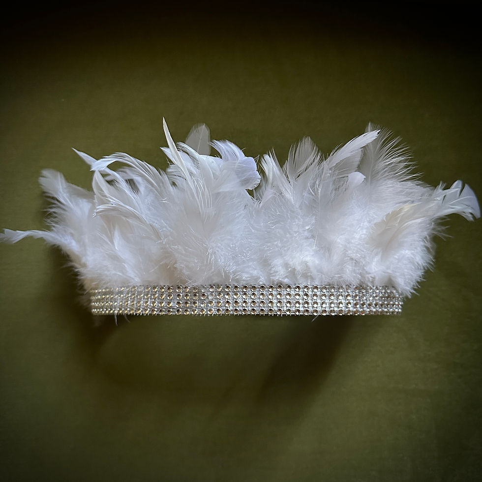 Miniatura: corona de plumas y strass