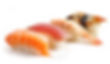 Nigiri Sushi & Sashimi
