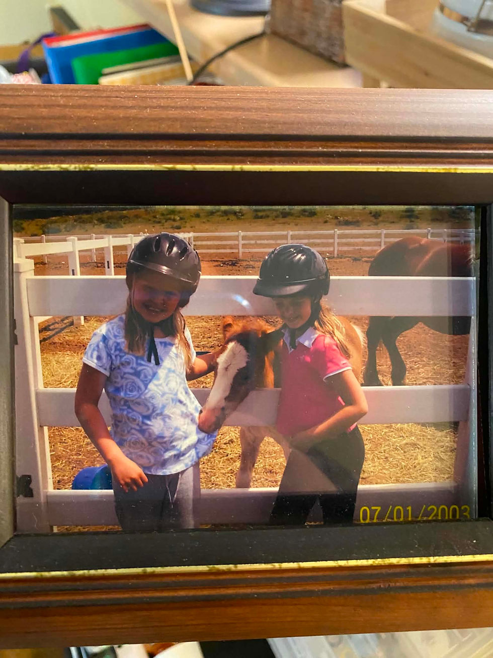 Horse Camp
