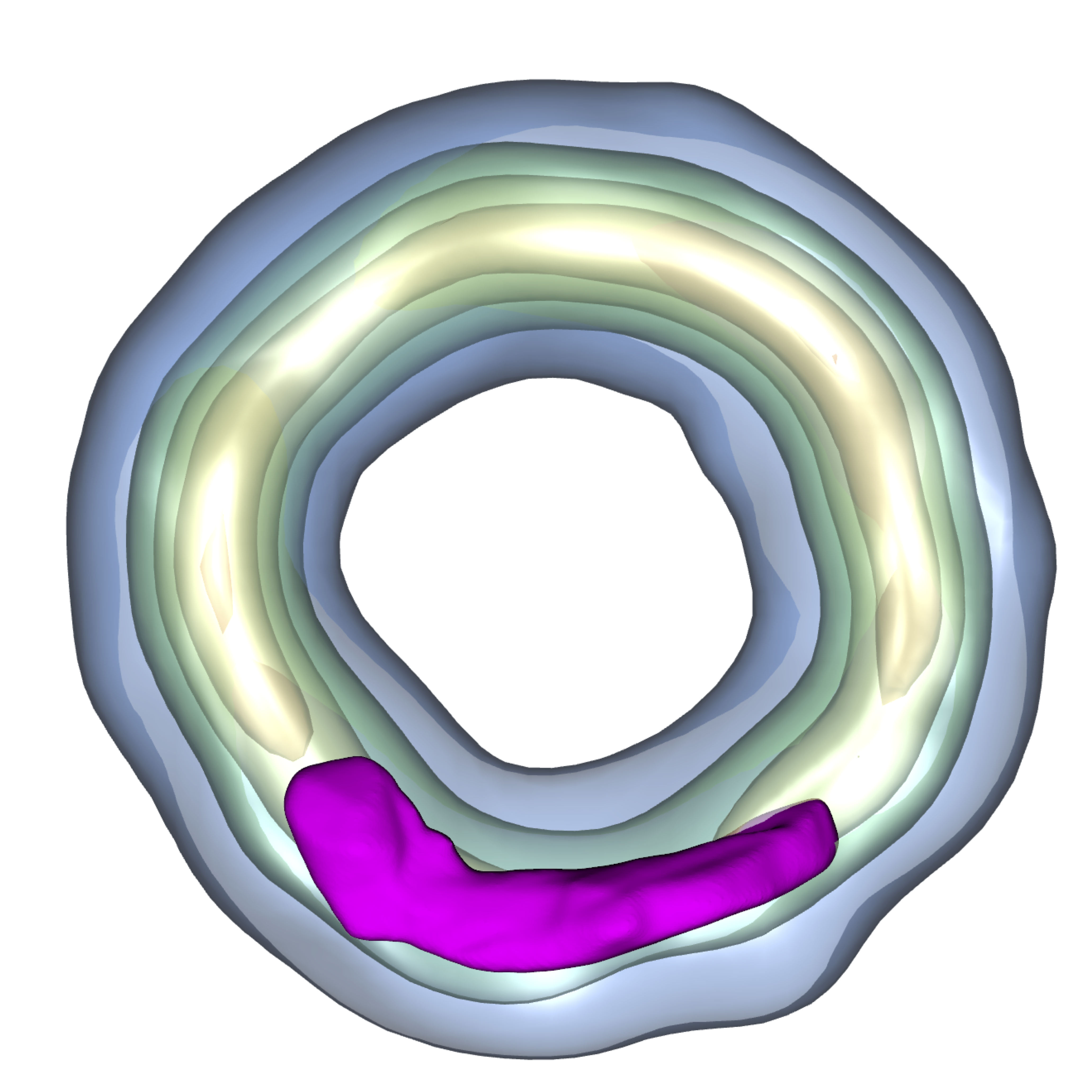 3D experiments on the interaction of a vortex ring with a rising bubble