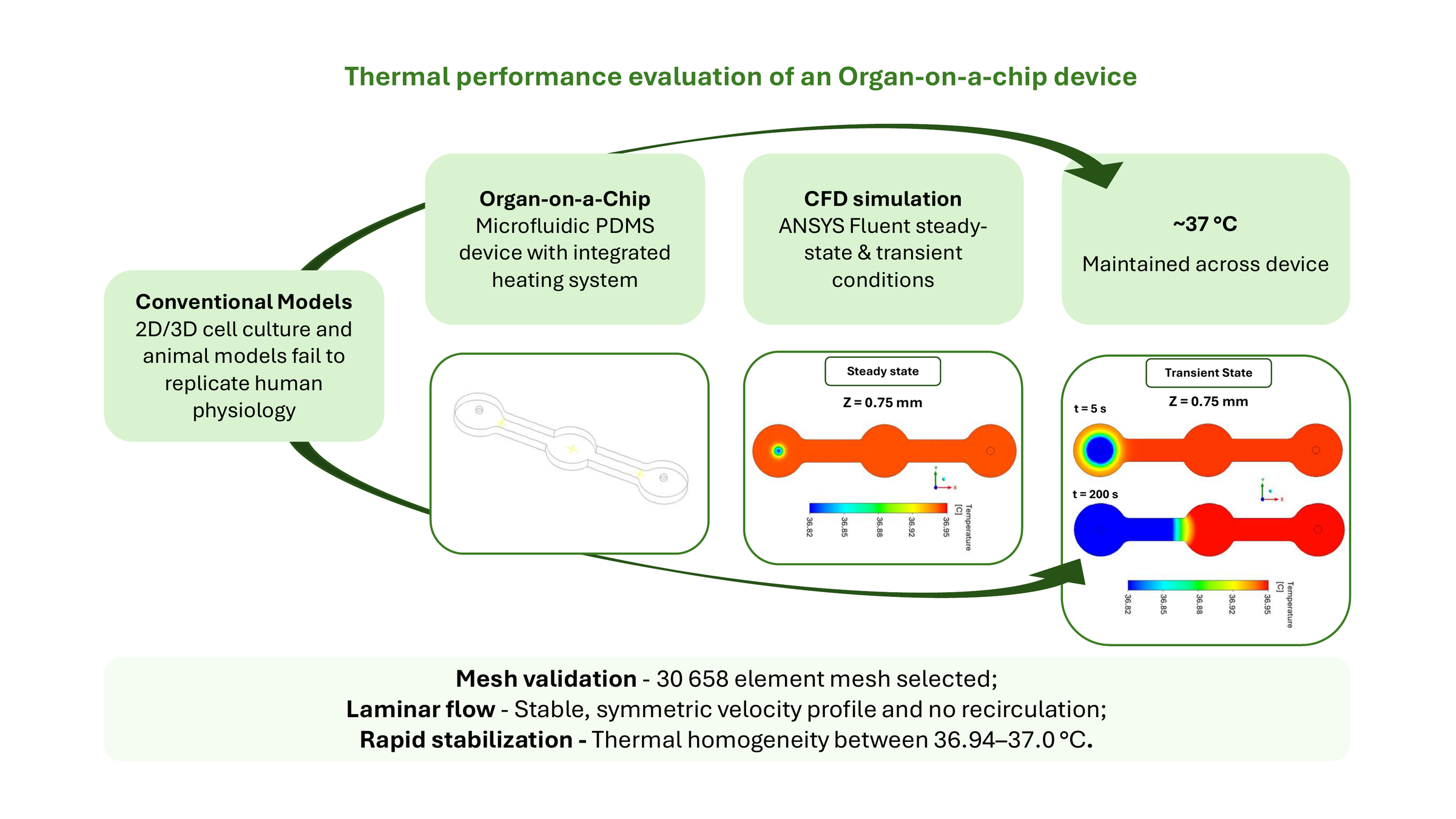 Evaluation of the thermal performance of an Organ-on-a-Chip device: a numerical study