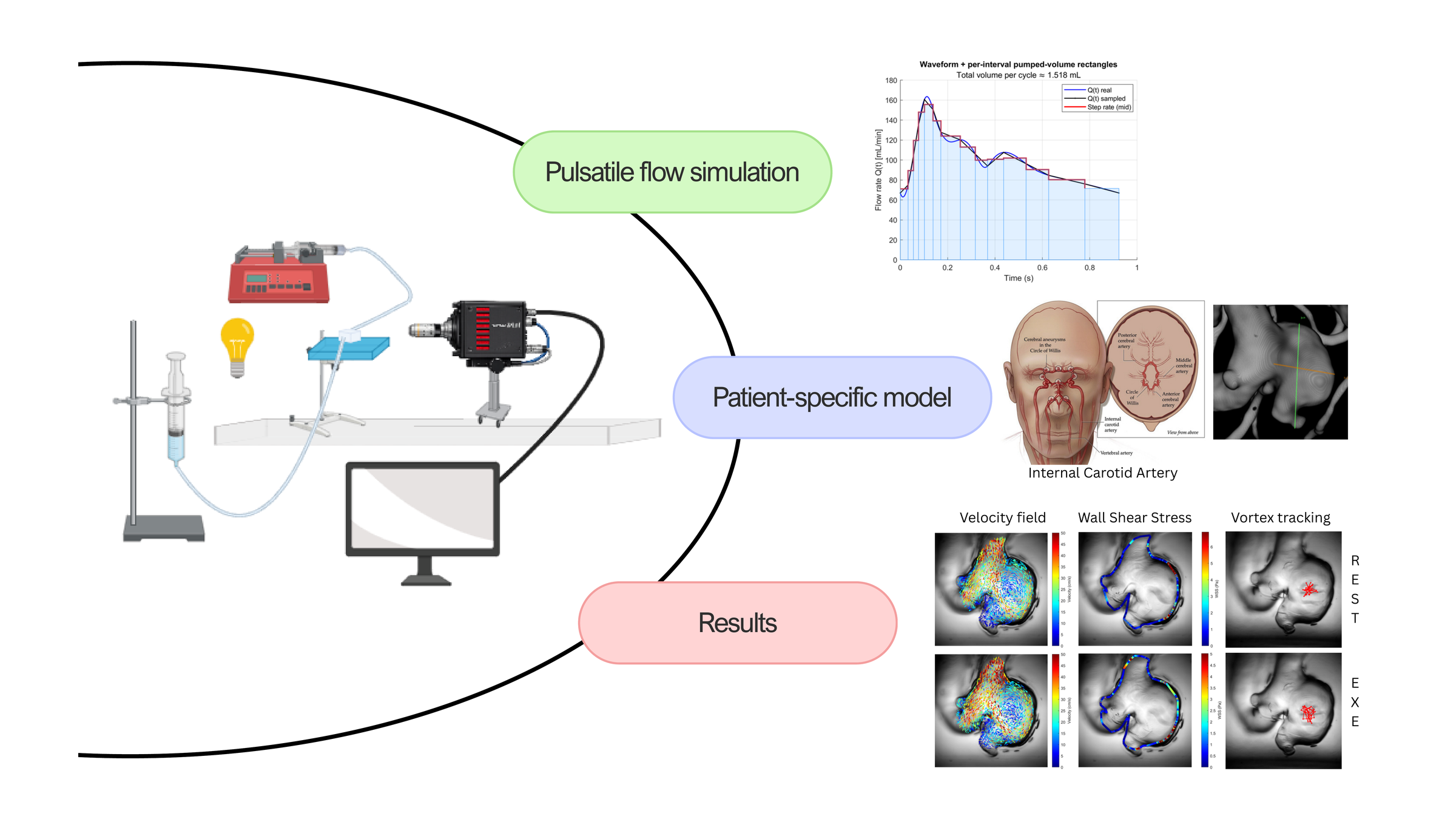 Computational workflow for 2D PTV: validation and application to patient-specific intracranial aneurism phantoms made by additive manufacturing