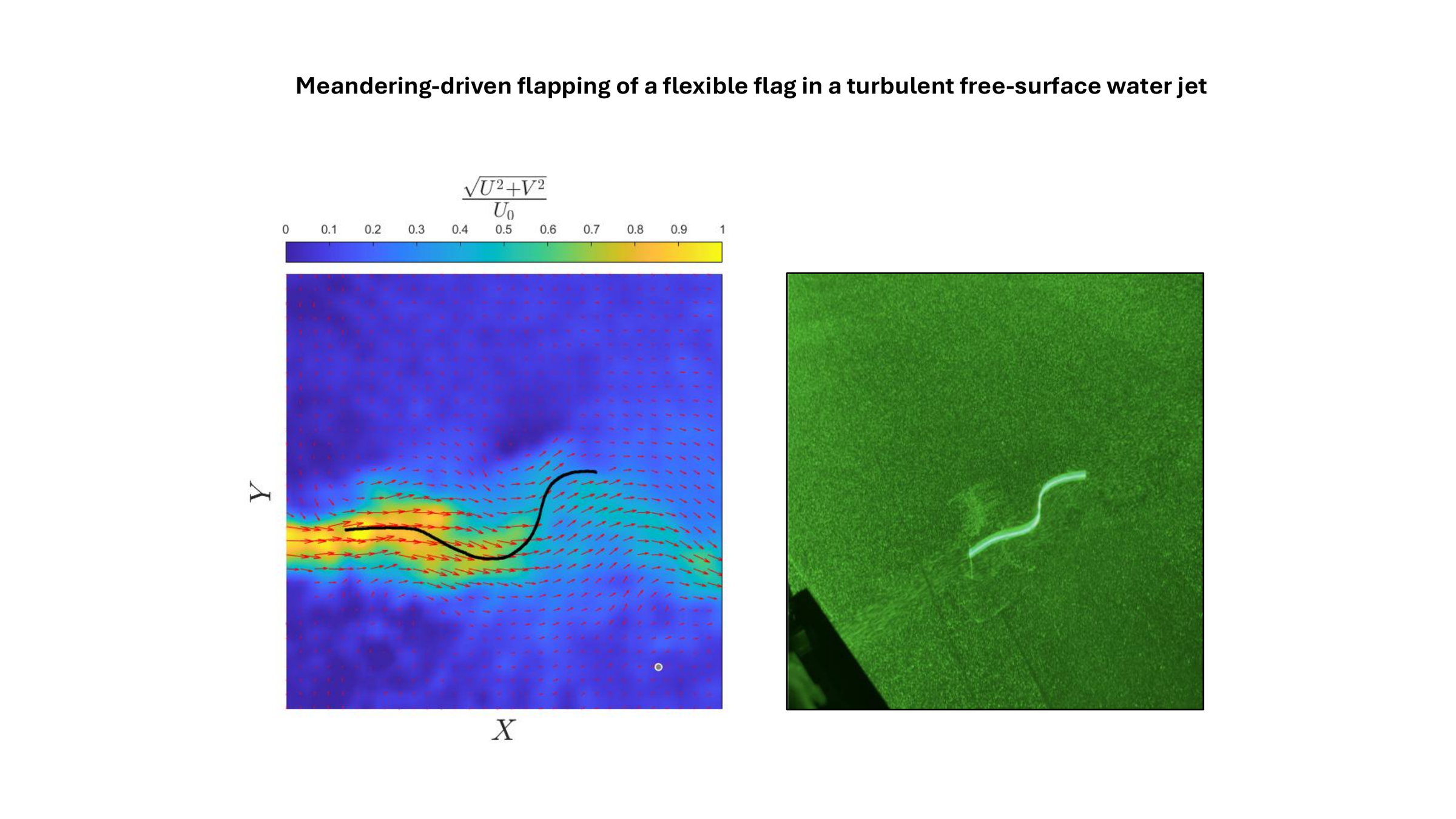 Meandering-driven flapping of a flexible flag in a turbulent free-surface water jet