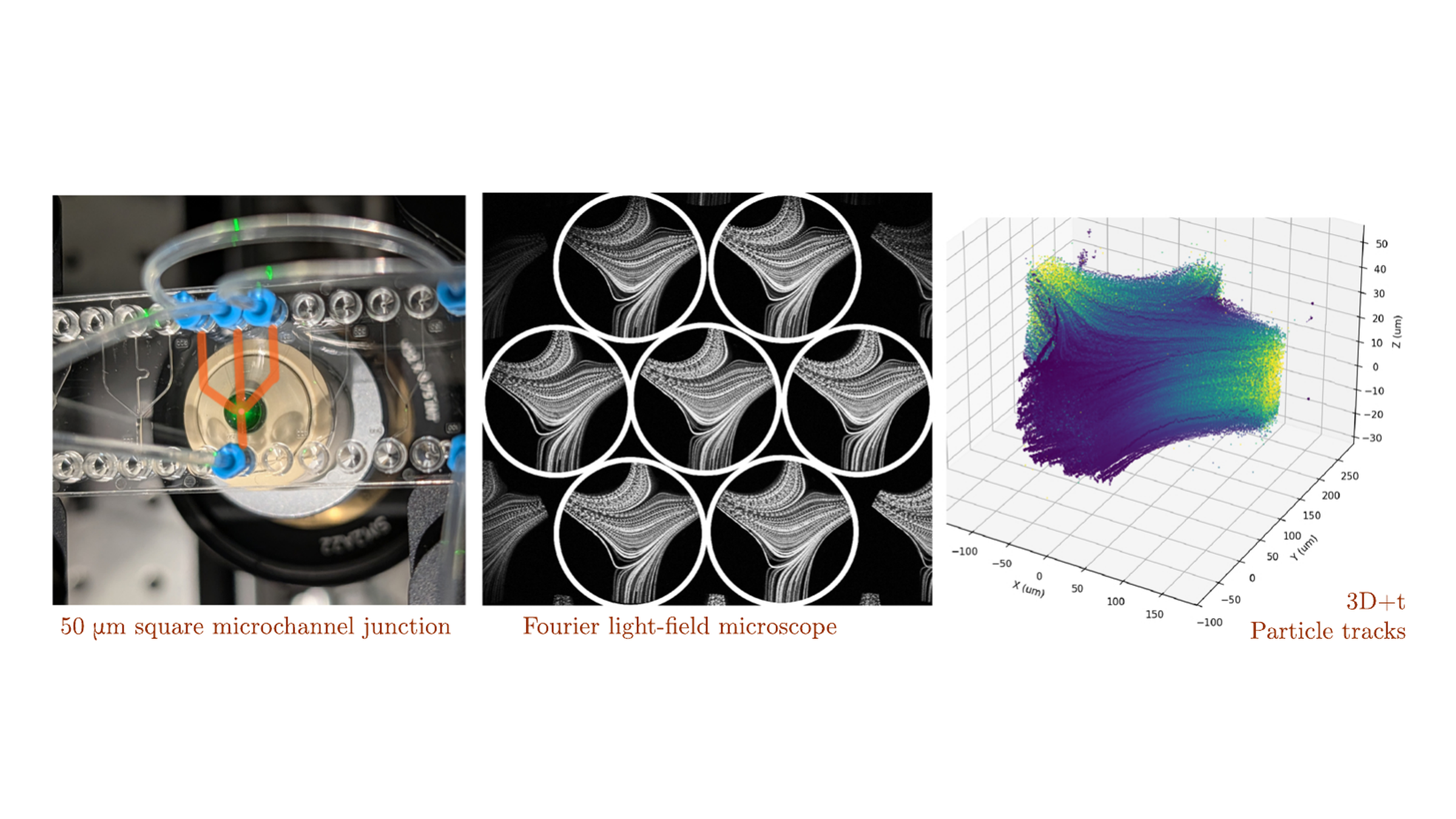 Towards multiphysics 4D particle tracking in microchannels with high-speed light-field microscopy