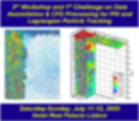 3rdWS_DataAssimilation_PIV_LPT2020.png