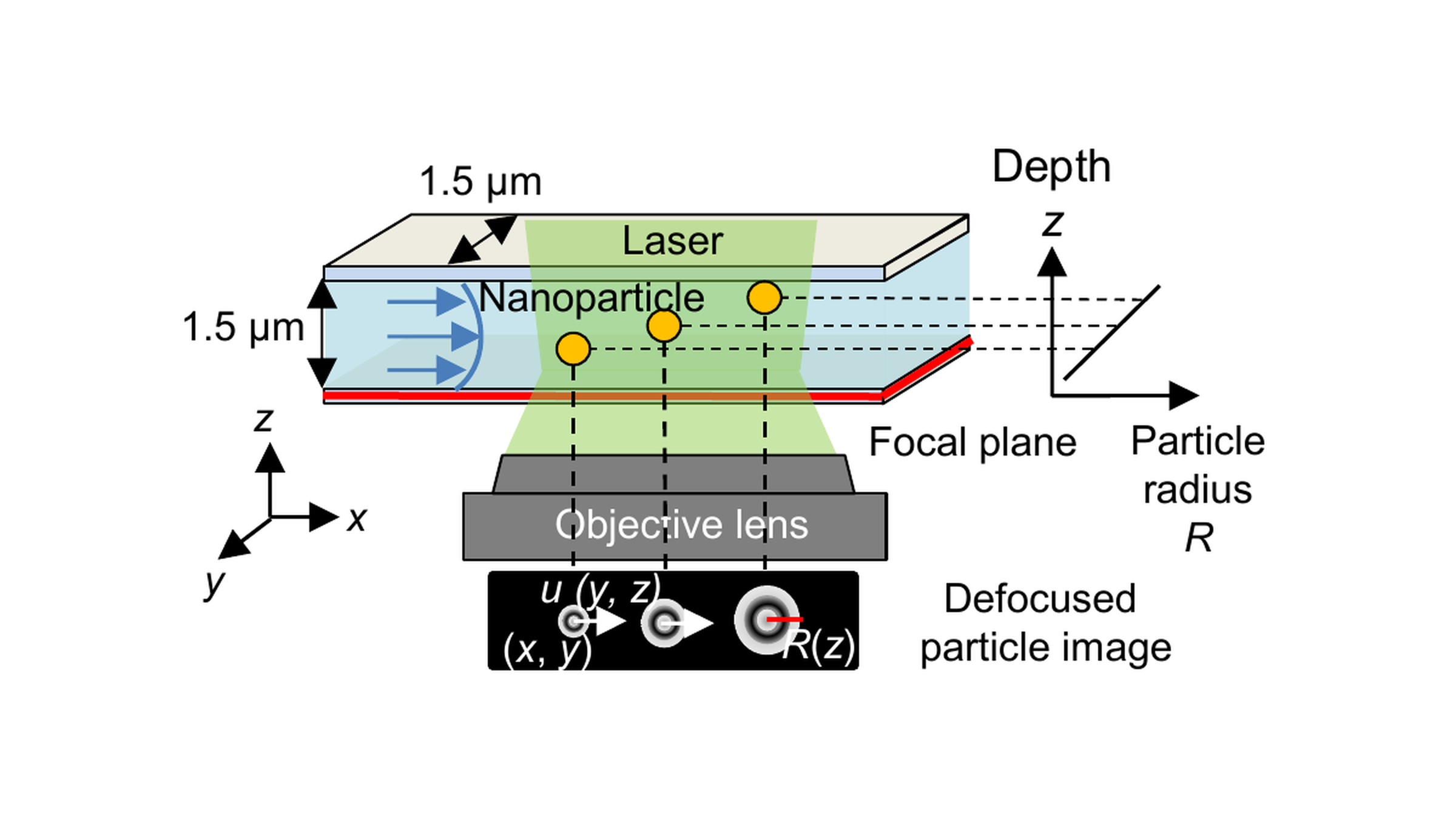 Measurements of Nanoparticle Velocity Distribution in a Square Micrometer-Channel by Defocusing Nanoparticle Tracking Velocimetry