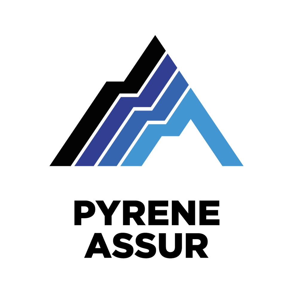 PYRENE ASSUR-2.png
