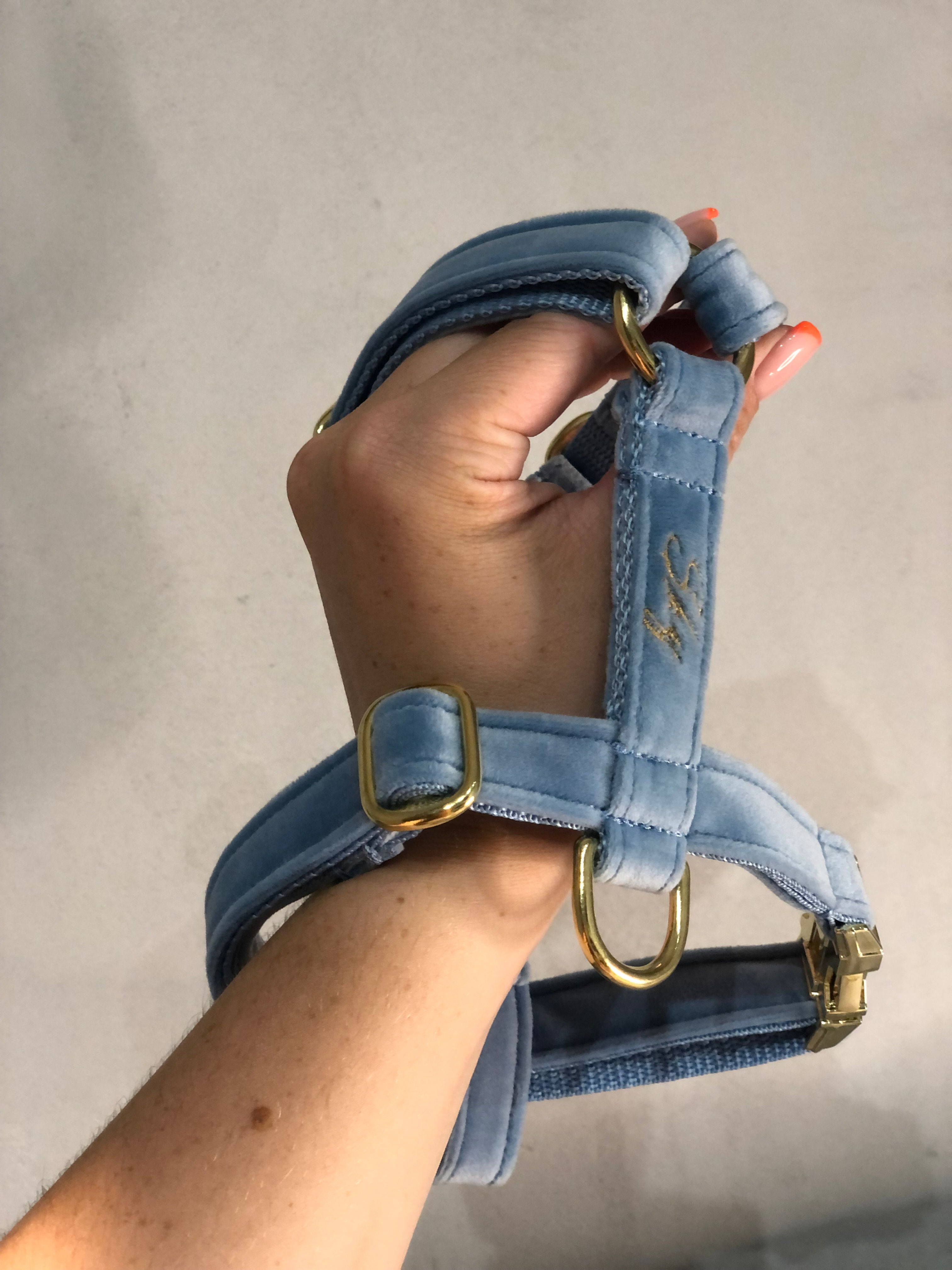 Szelki Guard Bezchmurne Niebo