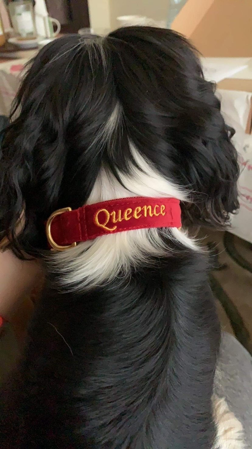 Miniatura: Obroża dla psa Red Velvet Personalizowana na psie