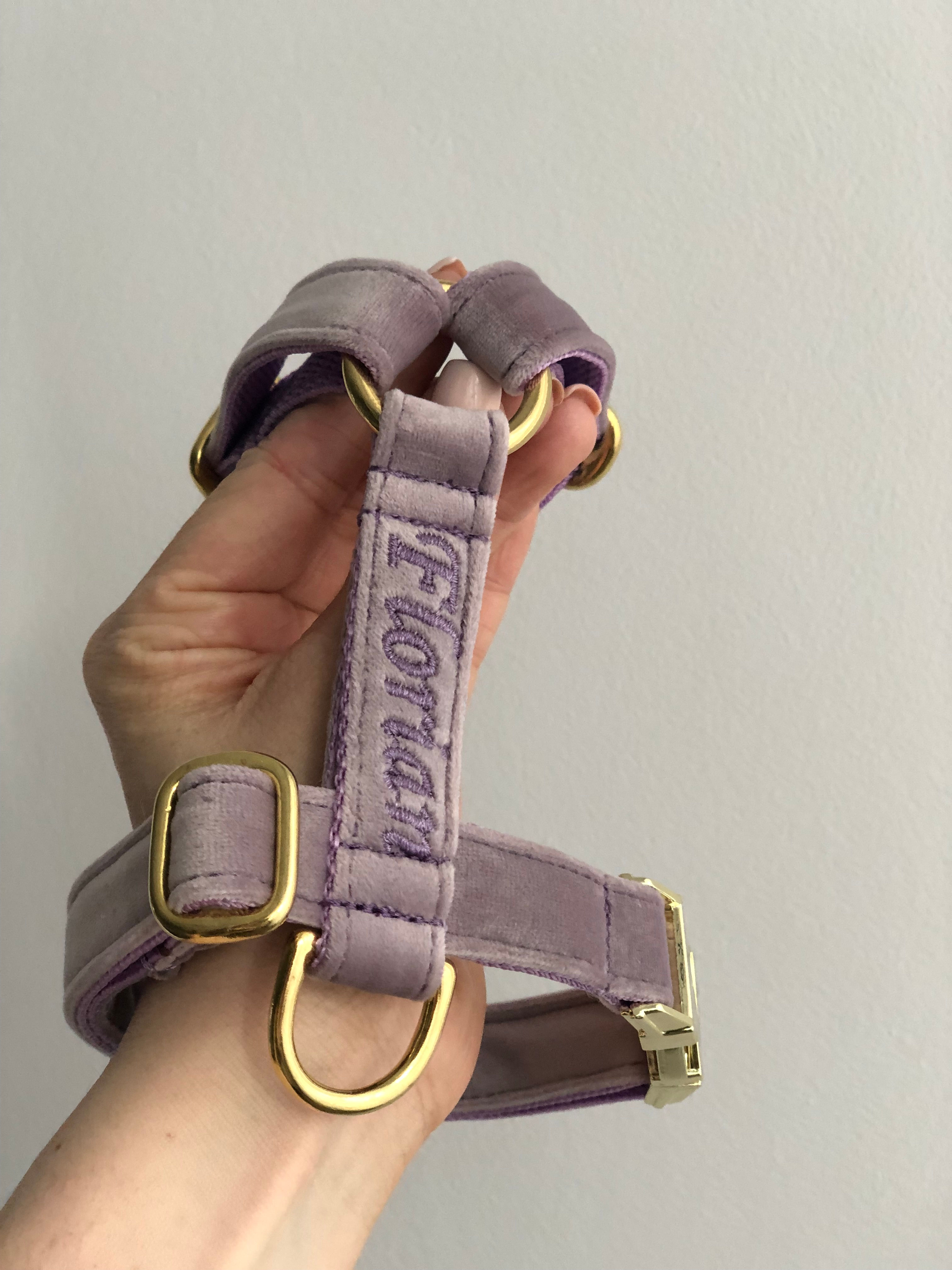 Szelki Guard Purple Princess