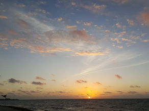 Perfection Hates Me!