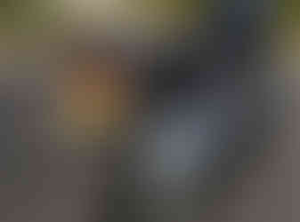 Triumph Bonneville T100 Fender eliminator