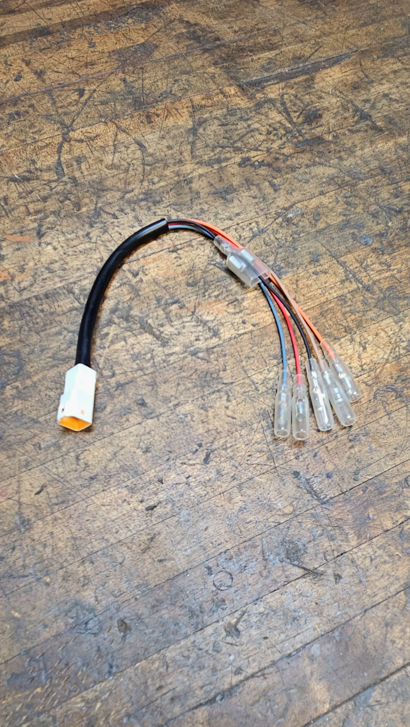 Triumph Speed twin 1200 tail light harness