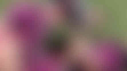 IMG_20230930_104717394