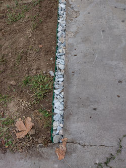 IMG_20211101_101110286_HDR