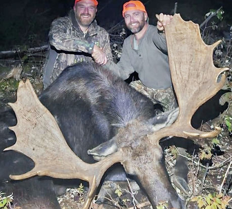 Seans moose_edited_edited_edited_edited_