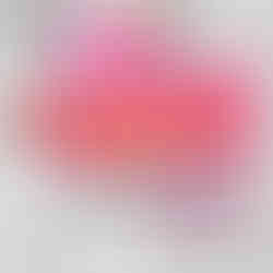 Maki Club Ingolstadt