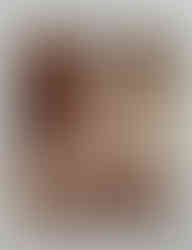 Lana Grossa Nordic Knits 1