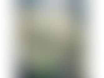 Product Spotlight: Necrons - C'tan Shard of the Void Dragon