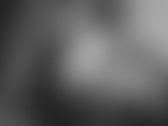 Wednesday Update for September 14th