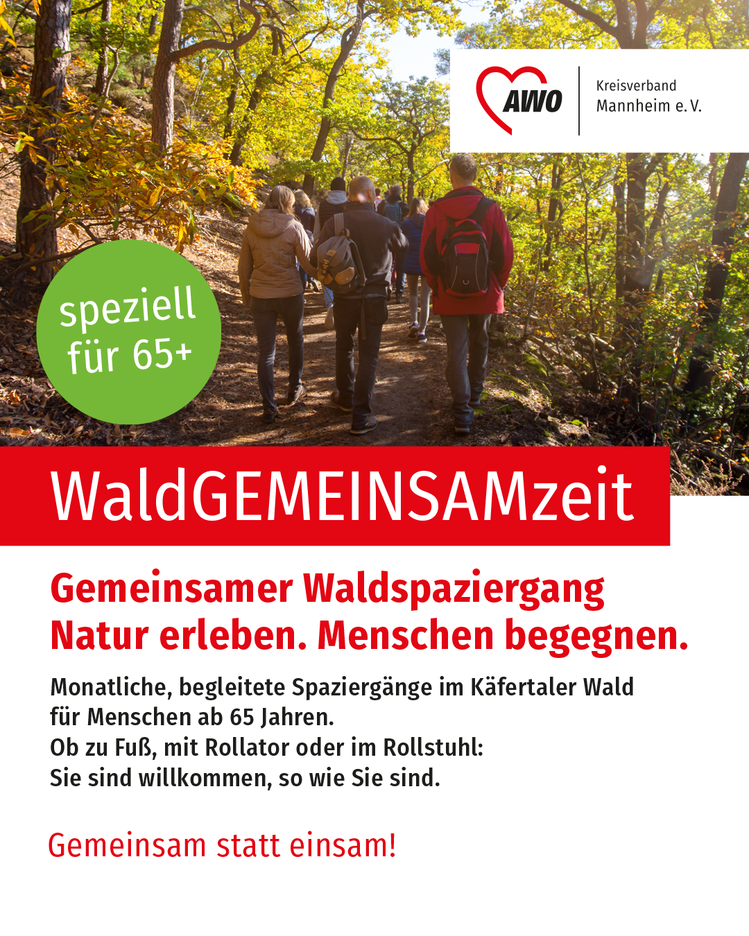 Waldspaziergang_Insta.png