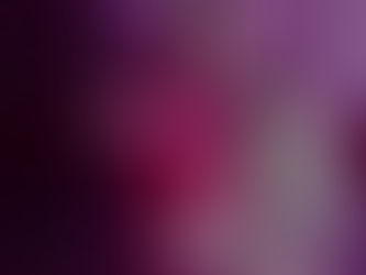 Abschlussaufführung der Studentinnen in Bewegungspädagogik