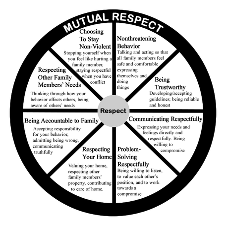 Developing the family abuse wheel