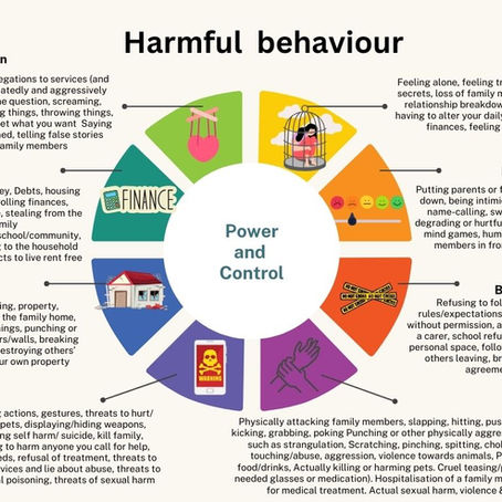 As part of our advanced 2 day training  for professionals we have updated the family harmful behaviour & non-harmful behaviour wheels resource 
