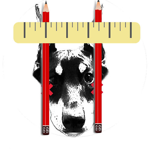 QuickBrace Dog Ear Posting Ear Stance