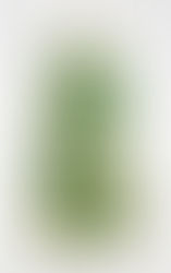 Farm Rio Monstera Maxi Dress