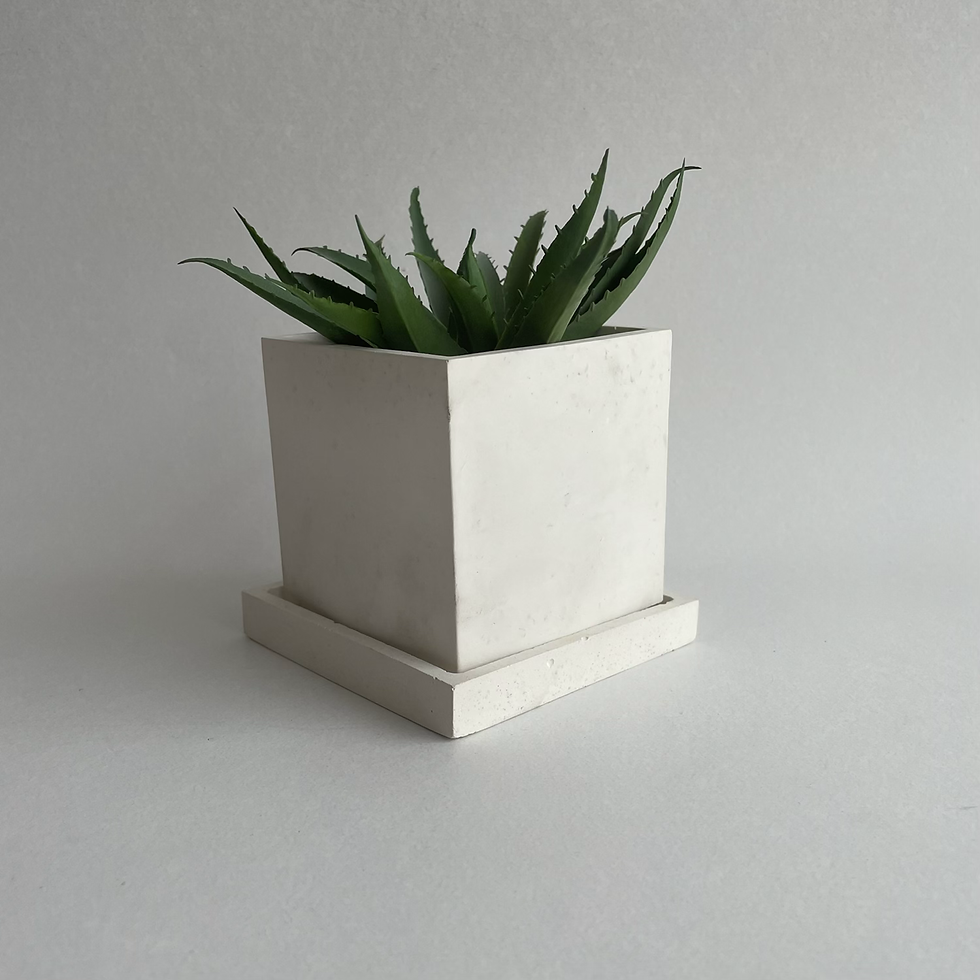 Miniatura: Maceta cubo con base 
