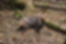 rebeco_aranpark.JPG