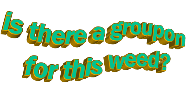 taurus 420 flow - numb