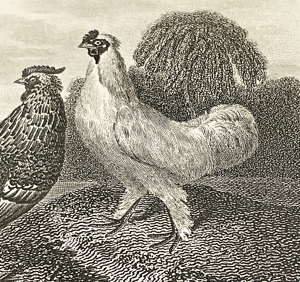 Thumbnail: Antique engraving
