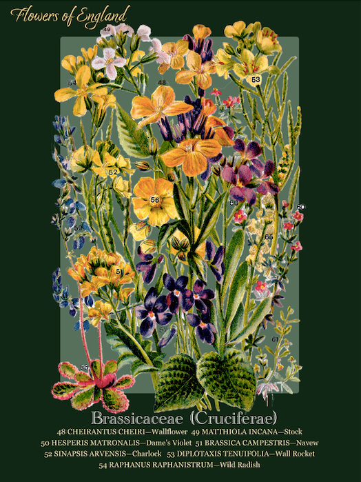 Thumbnail: Print art full view